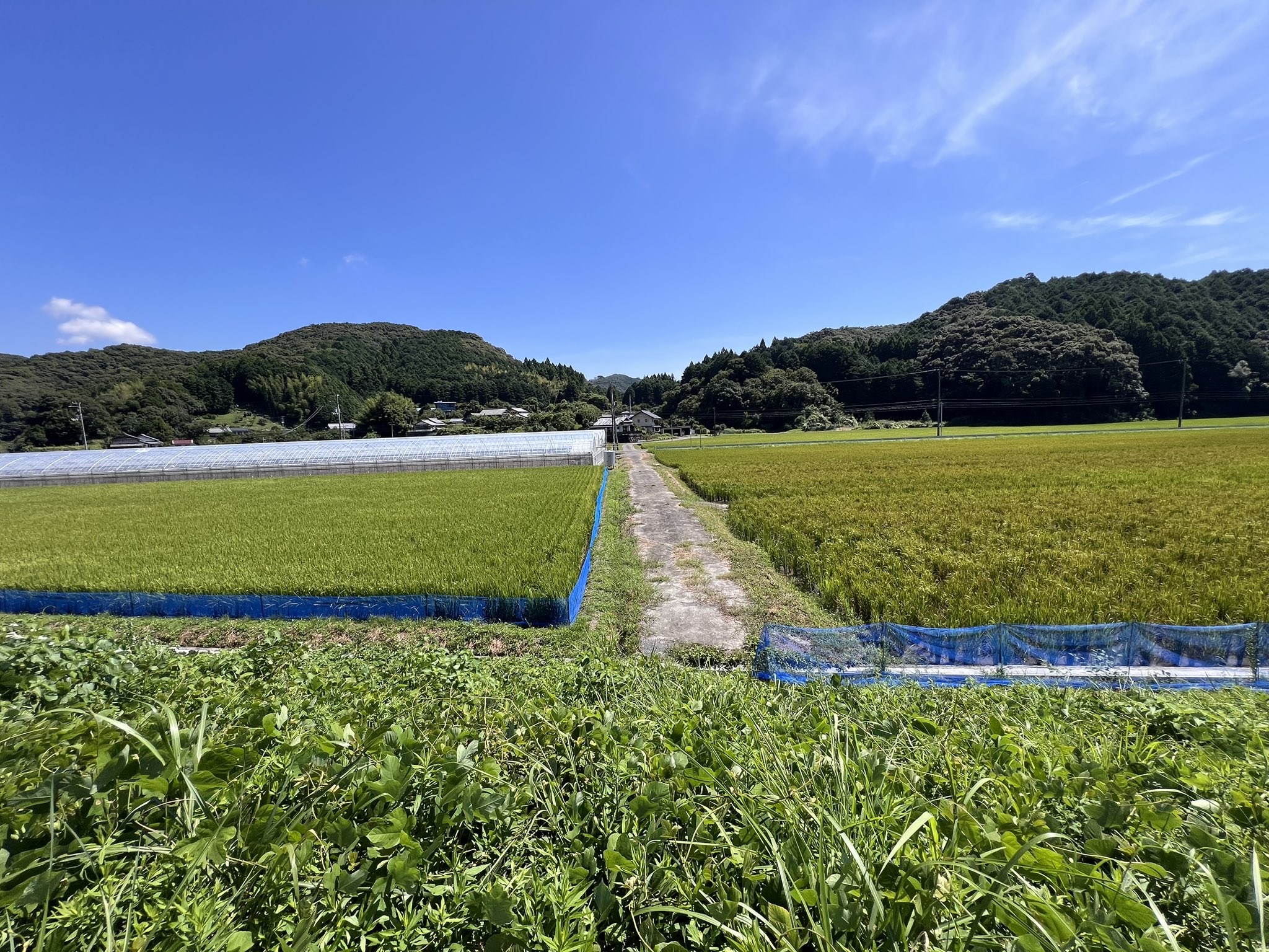 田舎のもの 田舎の者mo-chan (@moss0782ga) / X