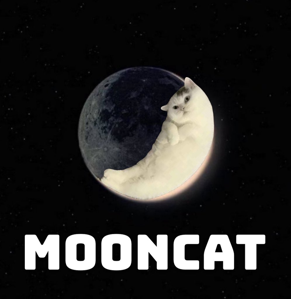 The cat moons. 🌙🐱

<a href="/moonshot/">Moonshot</a>, are you paying attention?