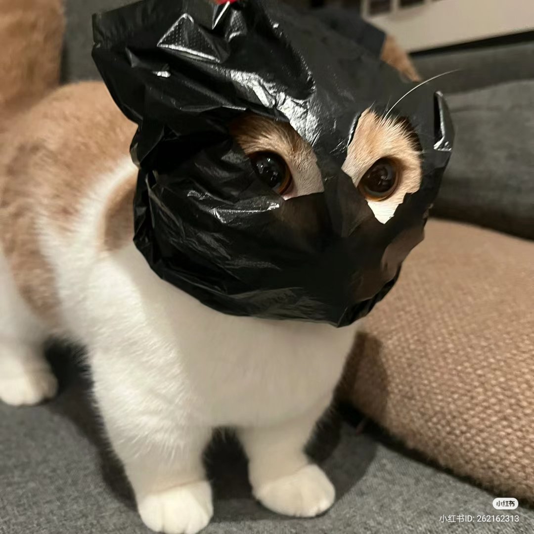 GIVE ME YOUR MONEY!!!!
