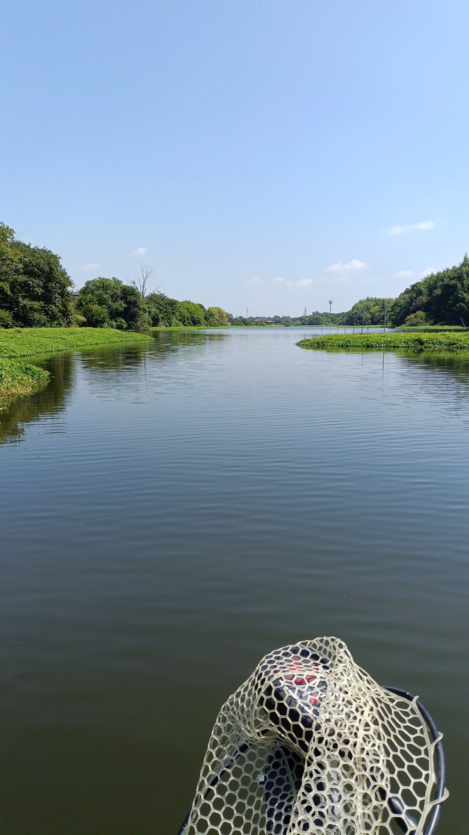 暑すんぎでバイトも遠くなったのでアイス食べながら帰ります😇😇🍦
#将監川