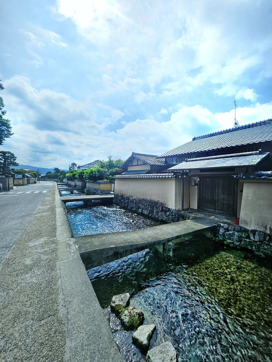 kinkakuji2025 tweet picture