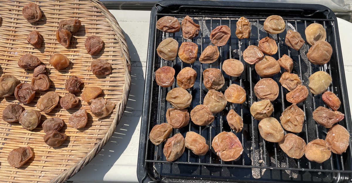 長期出張のためできなかった、梅の土用干しを8月最後になって実施中

今年は色むらが出てしまって出来は今いちかも．．．😔