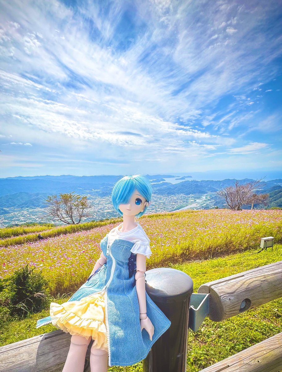 くまの (@z250pcx125) / Posts / X