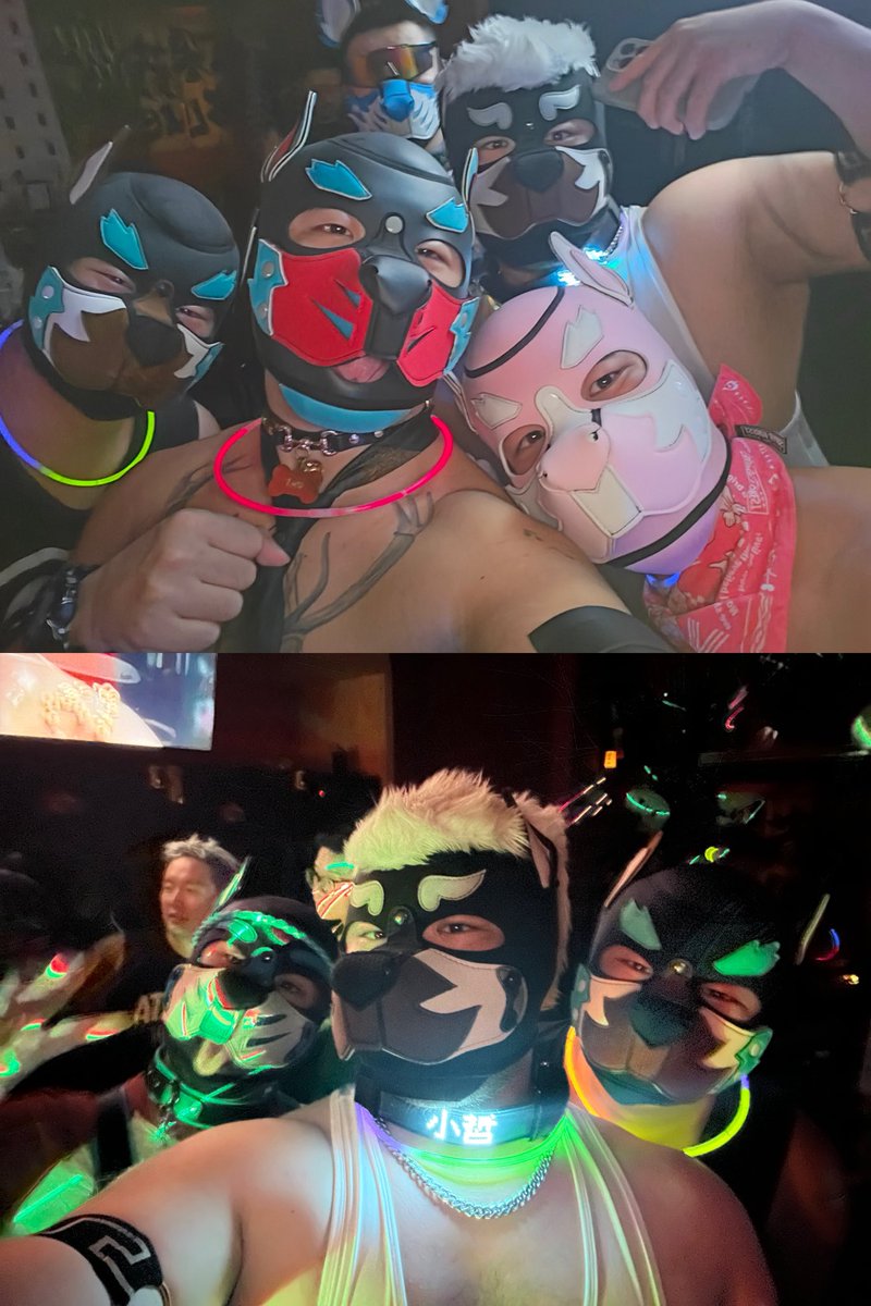 一只阿帕汪 tweet media