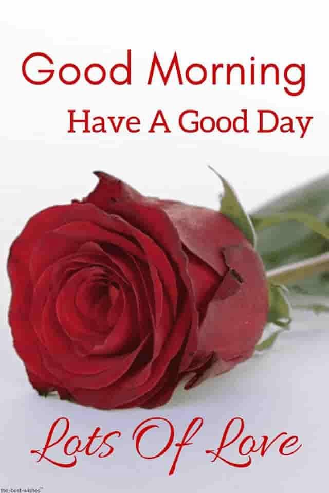 Good Morning Have A Good Day