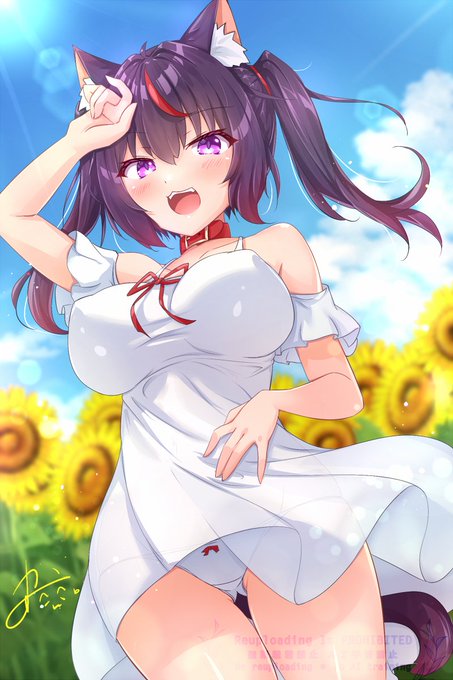 白ワンピかずねこちゃん🌻 #うちのこ 