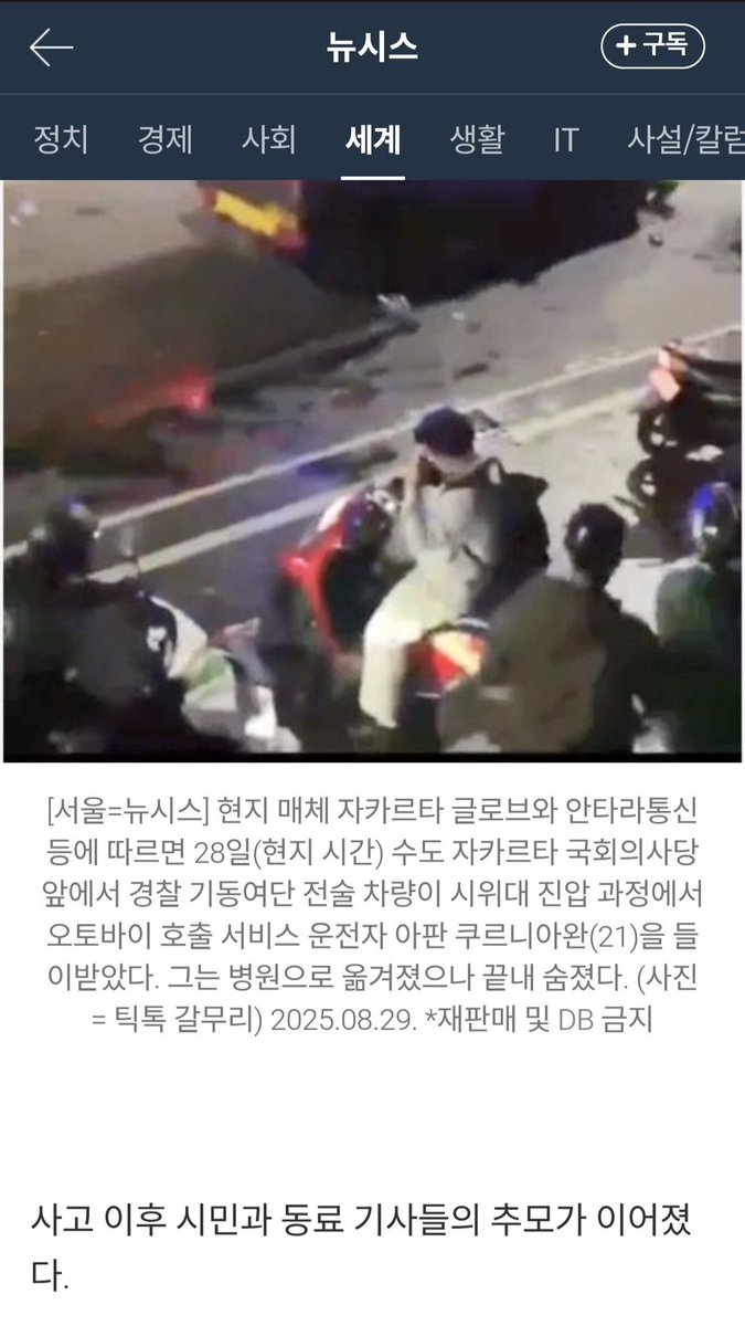 lip 🪸 tweet media