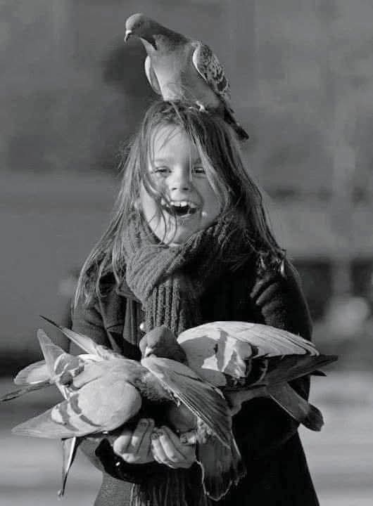 Buenos días y muy buena vibra mi maravillosa gente bella...