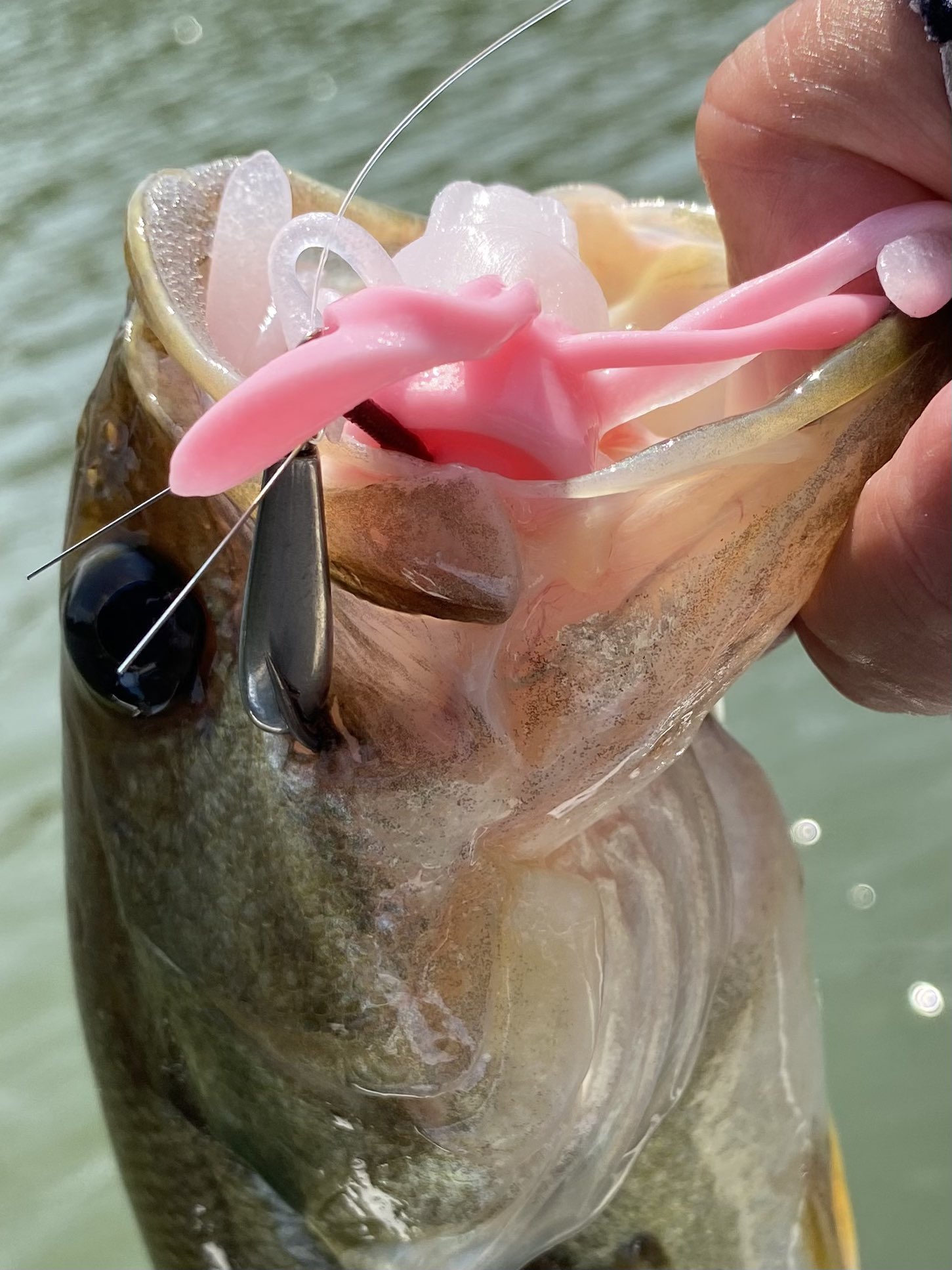 か*ぐ様 MPB ビッグボア ラトルイン BIG BOAR -ビッグボア- | MPB LURES -Monster Panic Bite-