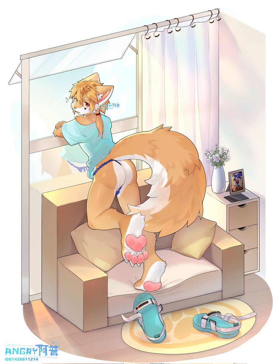 ANGRY-阿普 tweet media