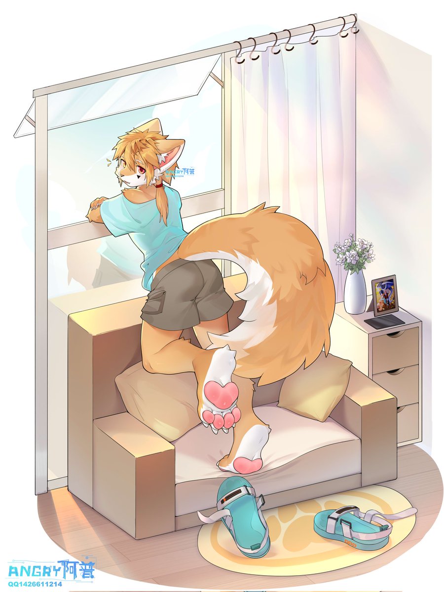 ANGRY-阿普 tweet media