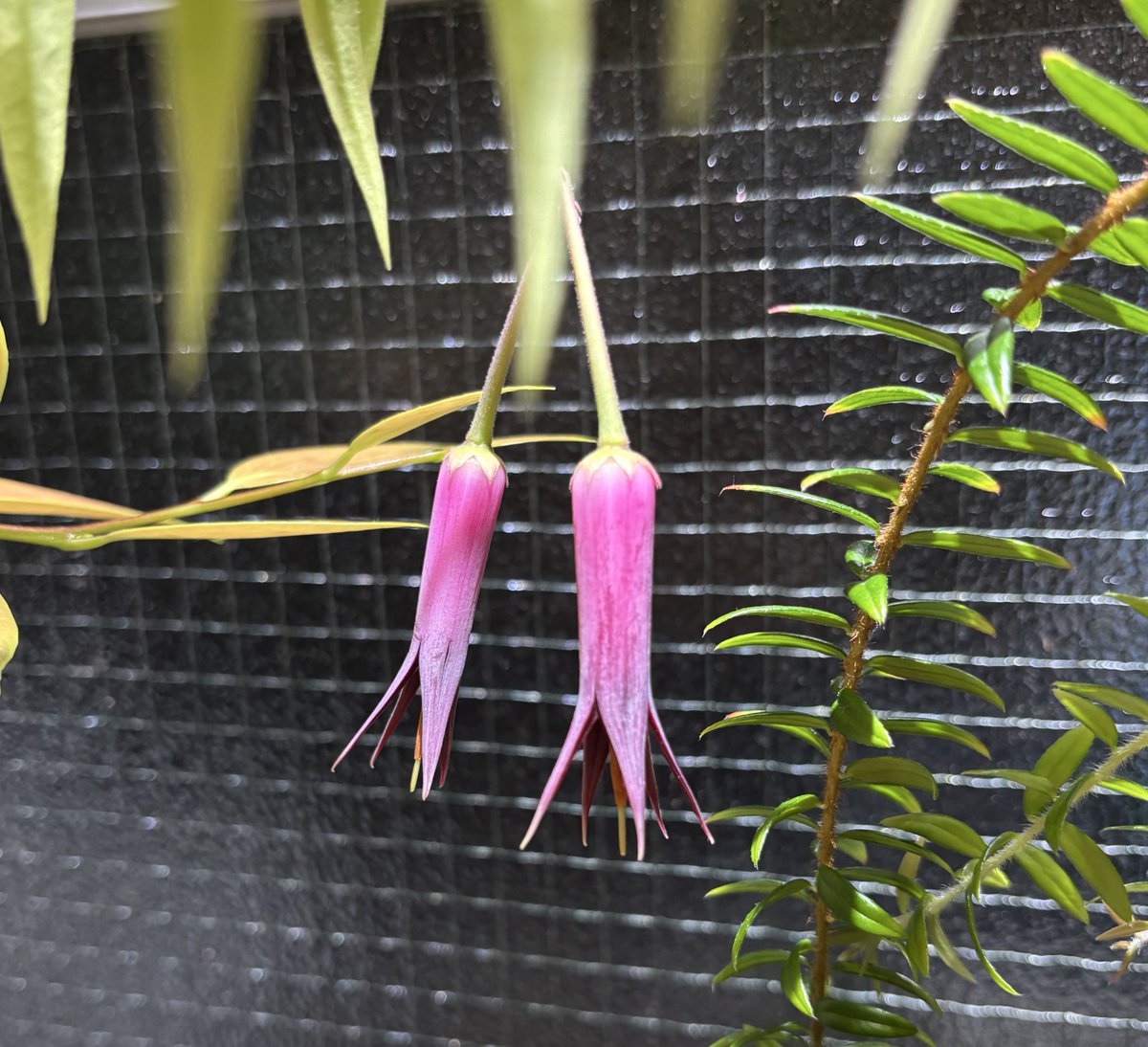 あいら (@Aira2210ta) / X