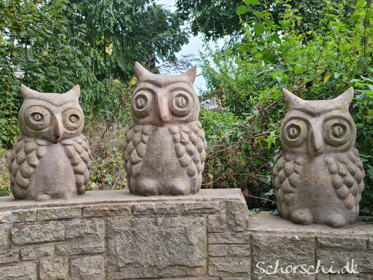 Drei Eulen, drei Meinungen: Das Wochenende klopft ans Tor! Ab vom Arbeitsmodus, hoch mit der Laune—rein in Sofa-Olympiade, Abenteuer-Ausflug oder gepflegtes Nichtstun. Genießt das Erholungs-Wochenende. Montag kommt schneller als gedacht—Feiertage dazwischen! ✨🎉🦉