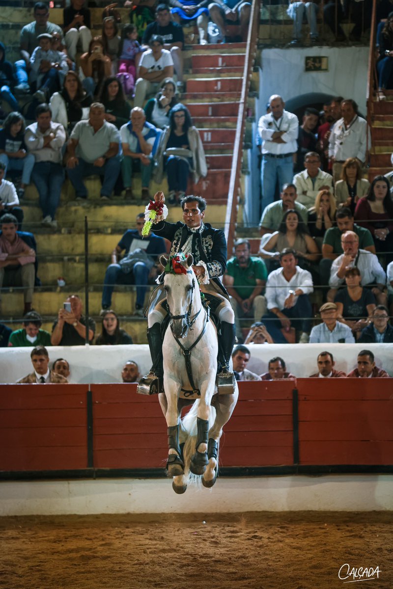 Noite Feliz hoje em Tomar, com uma praça cheia e um público maravilhoso 🙏🏻❤️

Brinde - <a href="/rui/">Rui Delgado</a>.salvador.cavaleiro e José Carlos Amorim 

Toiro - Herdade Camarate 

📸 @miguelcalcadasousa