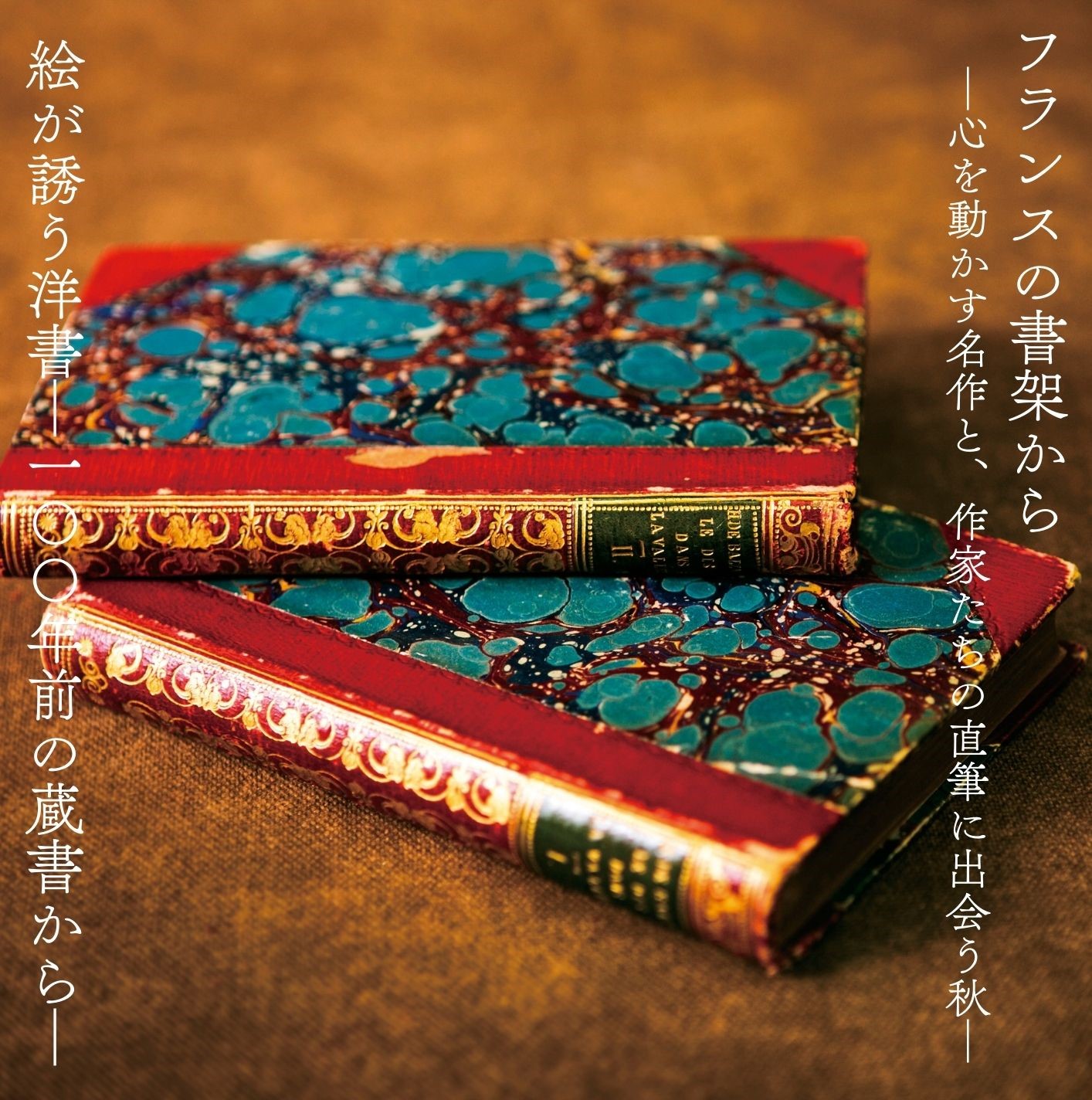 ［本］文書館用語集 41rx+RPgjHL.jpg