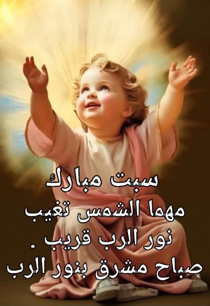 Elie salem tweet media