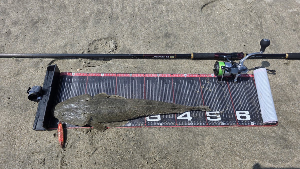 DAIWA - ガル君  ヴァンガードジャパン デスフォール KOSUI 1.8号 YZ イエロー