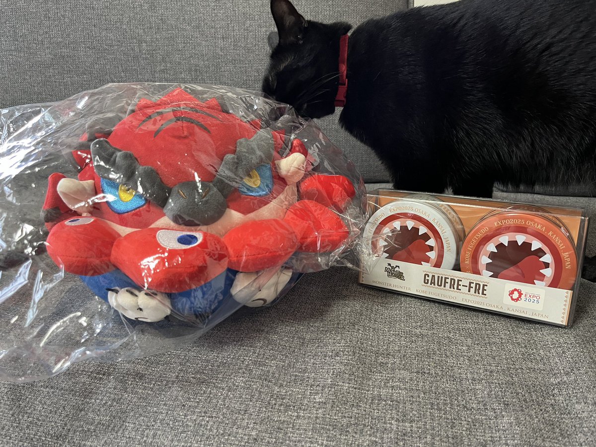 母上からの万博土産ヽ(´▽`)ノ