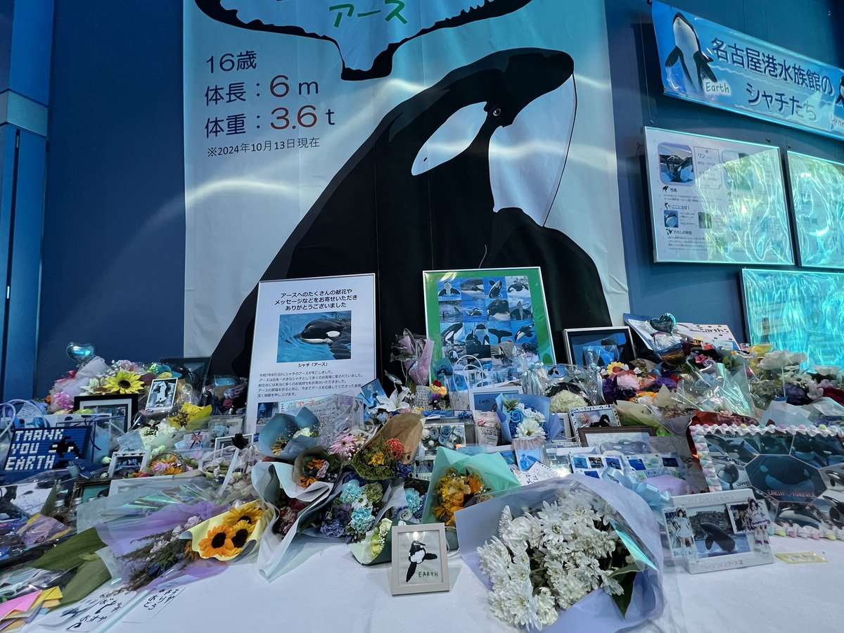 a_chan__Orca's tweet image. 献花台期間中にお花を置かせて貰ったけれど…

まだ置いても良いのかな…
2回も本当はいけないんだろうけれど…
どうしても送りたくて今日置かせてもらいました。

昨夜夜中の1時まで4時間かけて作らせて貰ったアースくん刺繍です☺️💚

#名古屋港水族館
#シャチ
#アース