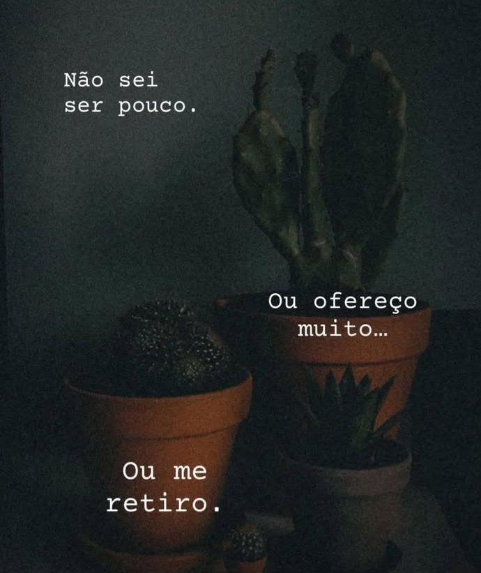 Frases (@privacidades) on Twitter photo 