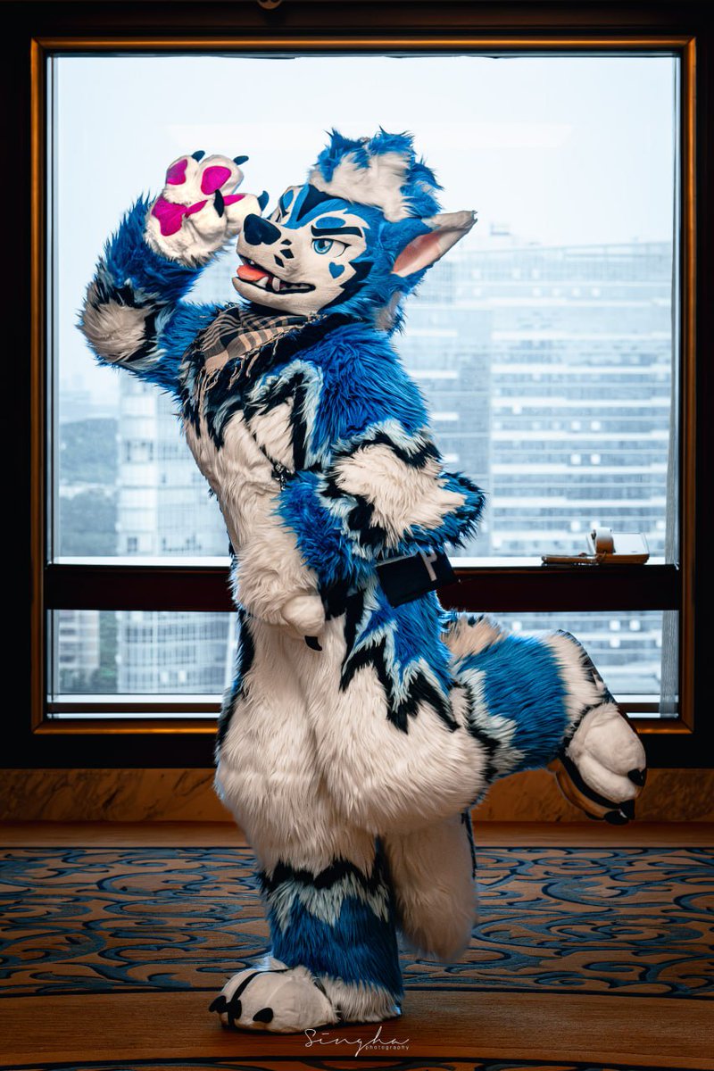 Bluee 🦋 social (@blusicurl) on Twitter photo ✨️Have a good weekend ahead!✨️✌️
#Fursuitfriday
📷:<a href="/rekirc/">Rek</a> 🖌:💙 ✨️Have a good weekend ahead!✨️✌️
#Fursuitfriday
📷:<a href="/rekirc/">Rek</a> 🖌:💙