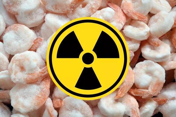 PreventiveMeas3's tweet image. Now  offering free Cesium-137 Radio-active shrimp scanning , its a simple quick process  by running a radio active meter over your food product for food safety ,  please contact us for a free appointment .  3618448844