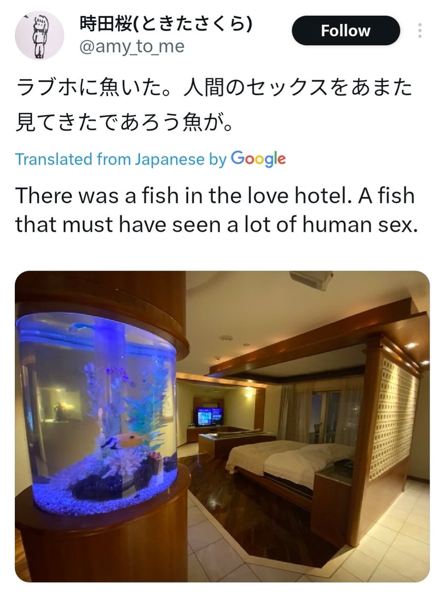 💢 JPT says 何? 💢 (@jpt_struggles) on Twitter photo 