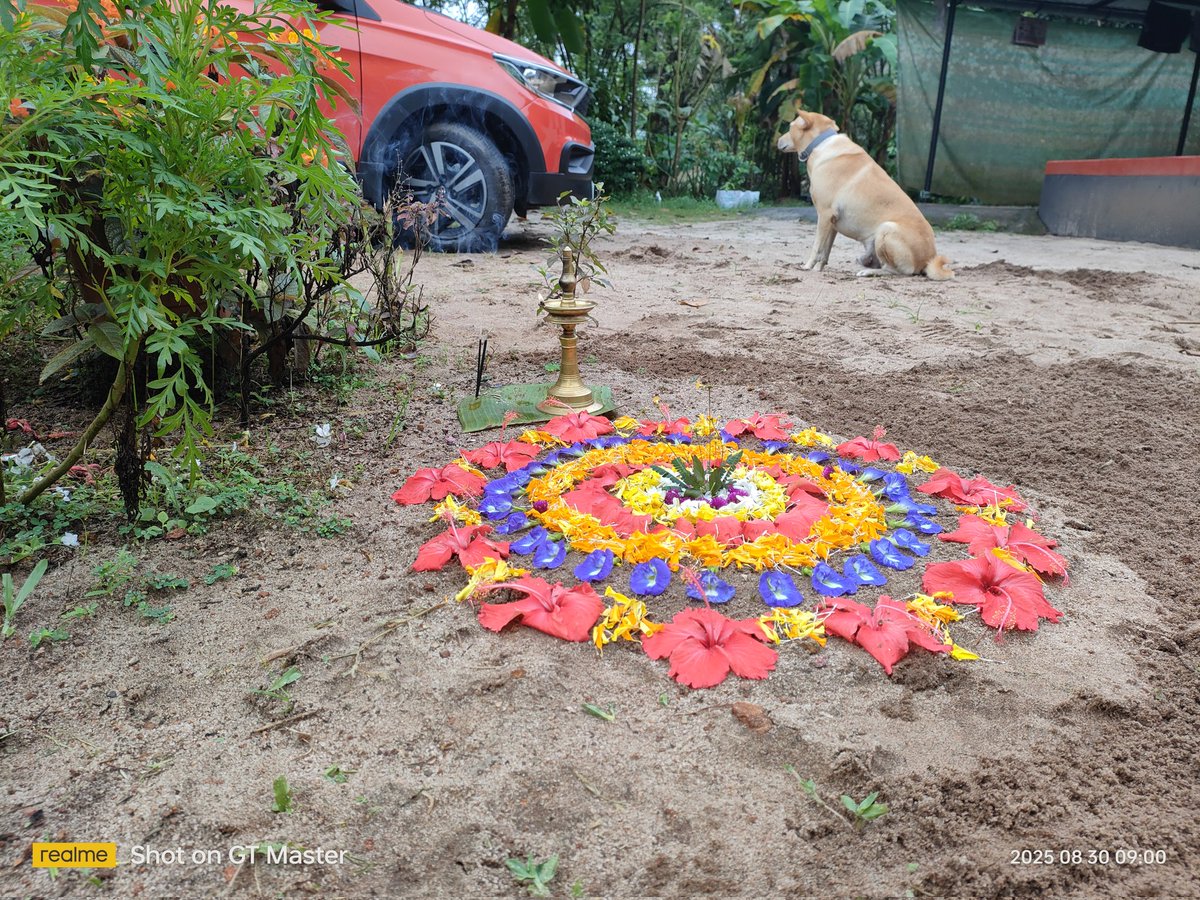 rahulhunts's tweet image. Day 5 
#OnamVibes