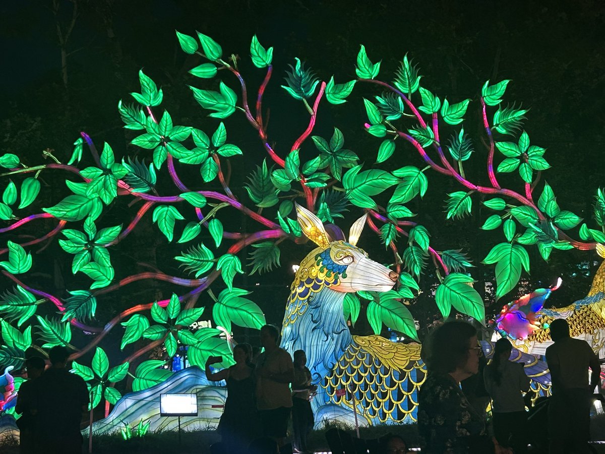 josie_simora's tweet image. the lantern festival is my fav time of year in philly :)