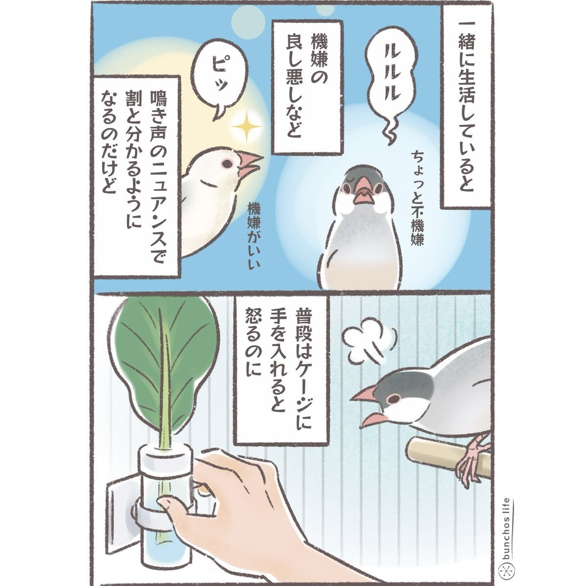 こむぎ🕊️ (@komugi_chan55) / X