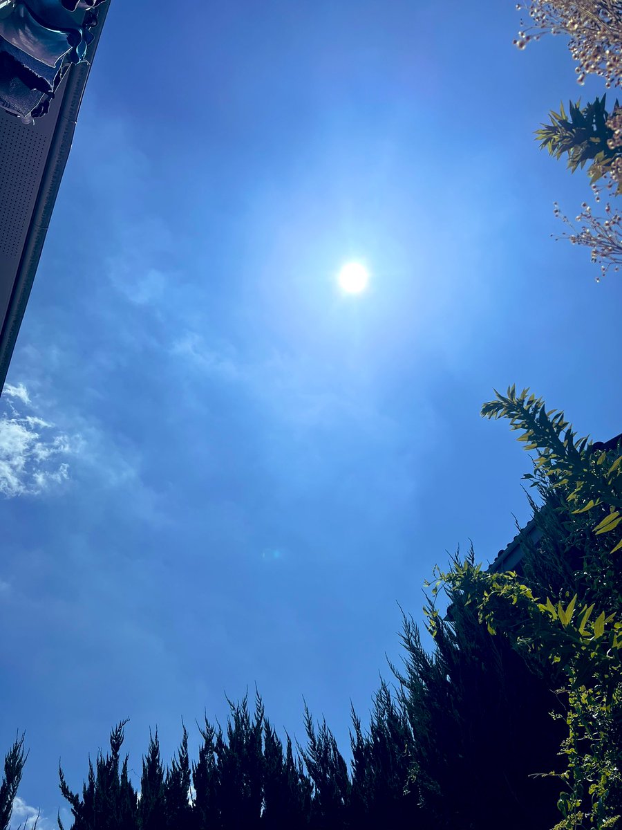 いやぁしかし暑いですねぇ