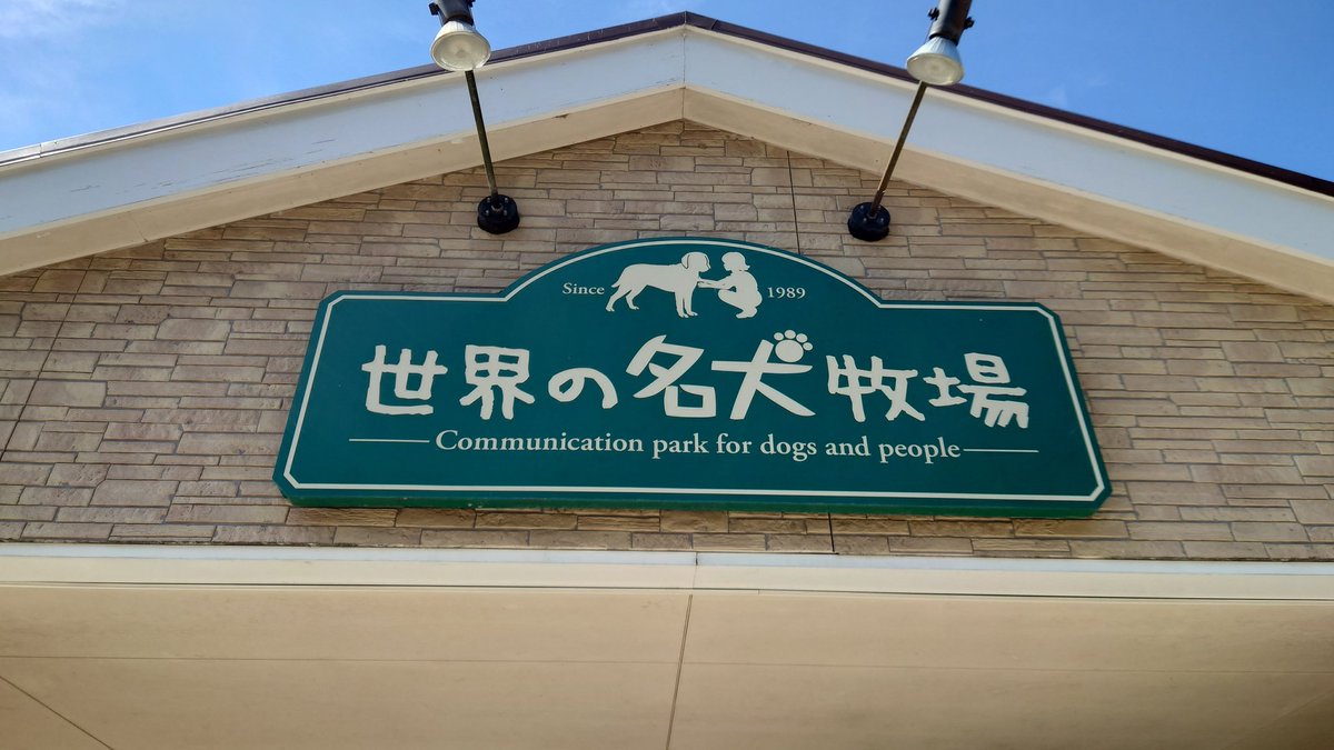 来ました名犬牧場🐶
わんこお散歩したけど言うこと聞いてくれなかったw
ランチは名犬チーズカレー🍛✨