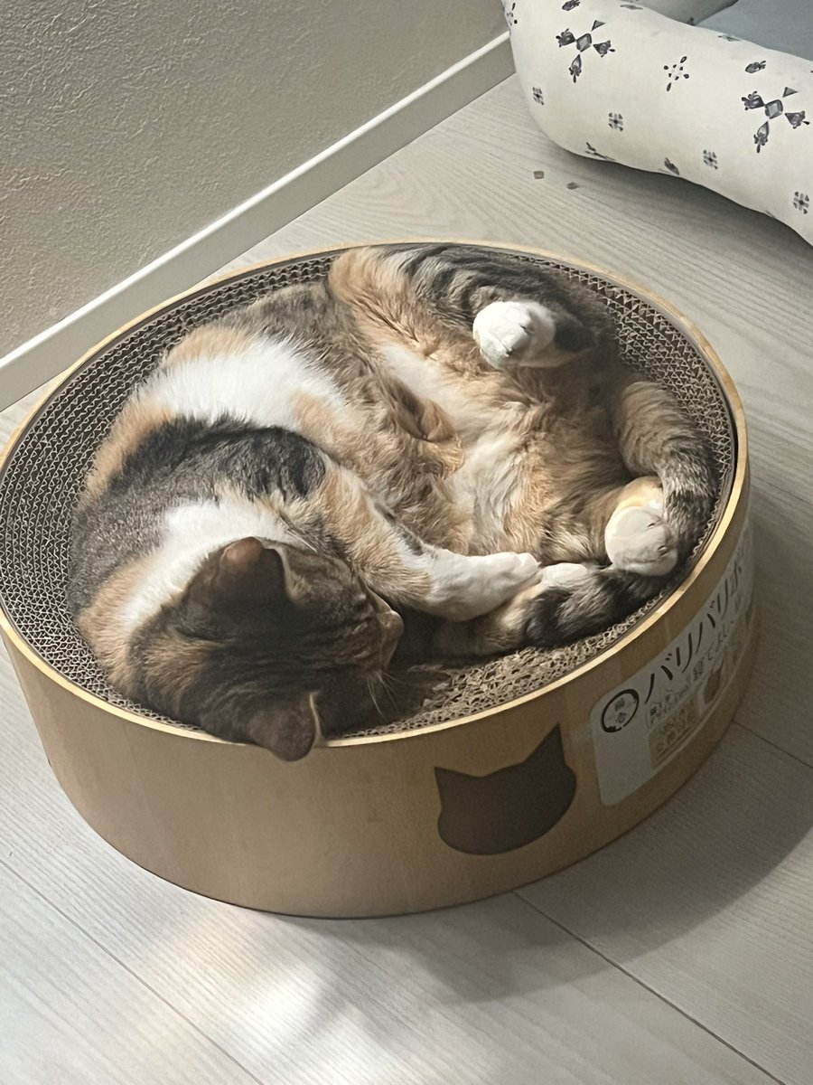 あんよかわいい