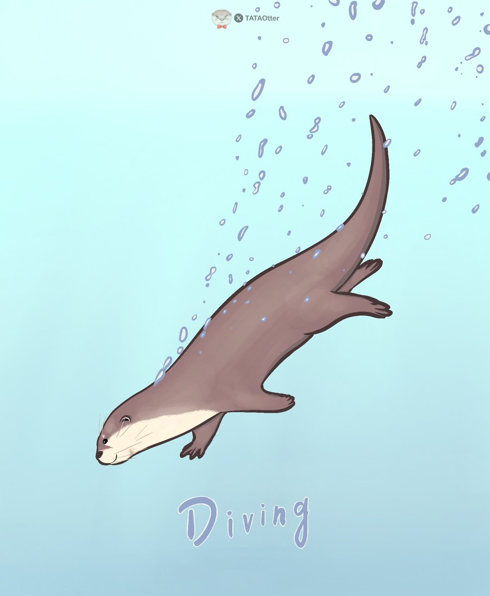 💦Diving

#AsianSmallClawedOtter  #小爪水獺