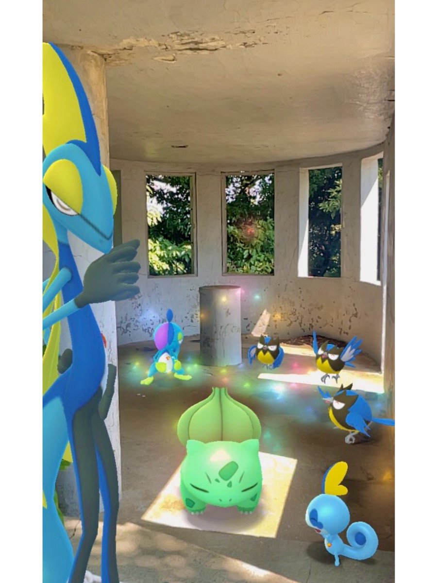 0_0llllliimu's tweet photo. 『目覚めの儀式』

#猿島 #pokemonplaygrounds 
#InteleonFamily #ポケモンGO
#ARoftheCommunityDay 
#GOsnapshotCelebration 
#GOsnapshot #ココガラ

ダネちゃんが主役の写真になってます😌
（最初からいらっしゃったので囲ませて頂きました。）日課（ジメファミリー）もポストできたので安心してコミュに参加できます😂そして猛ダッシュして汗だく今。遅刻しそう。