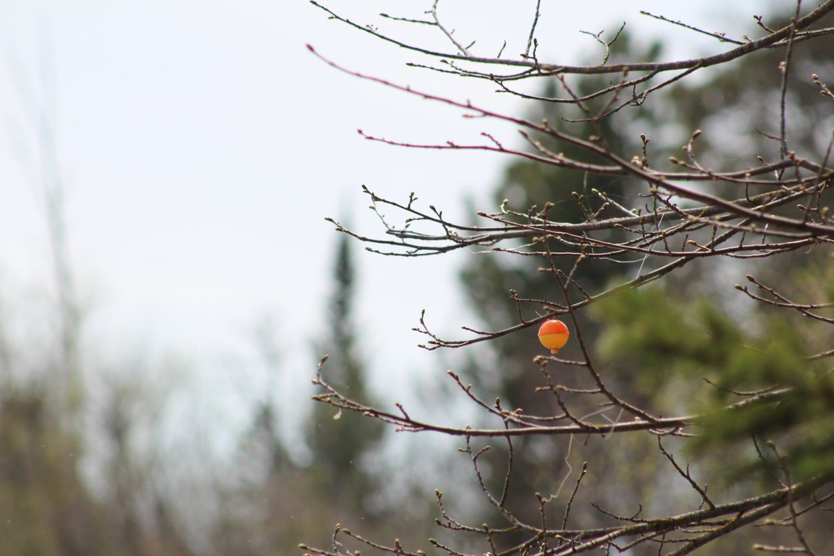 the indomitable spirit persists

even when you know it can't

it must