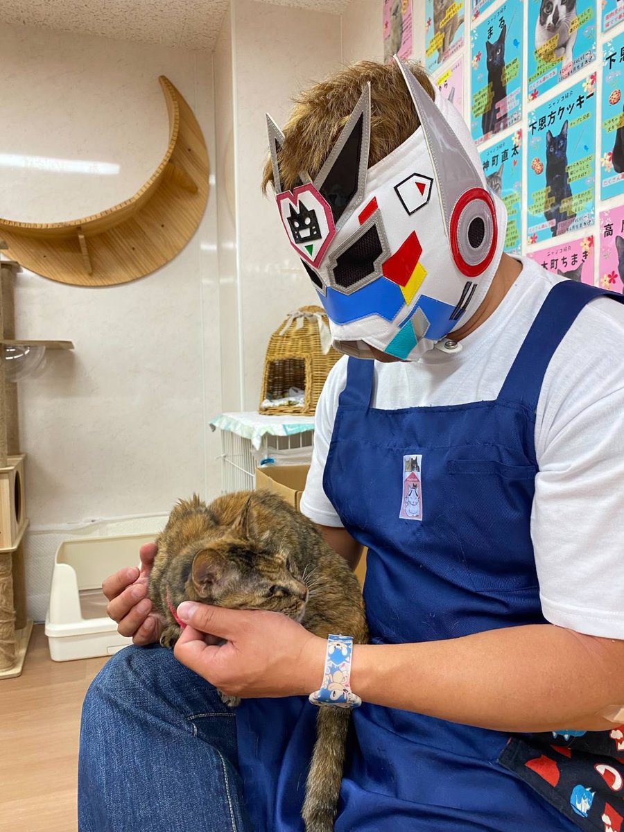 みけねこ とことこ (@miketoko860) / X