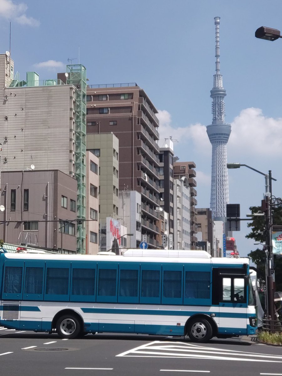 よっちゃん🐍🌸🌿 (@pandasandayo324) / X