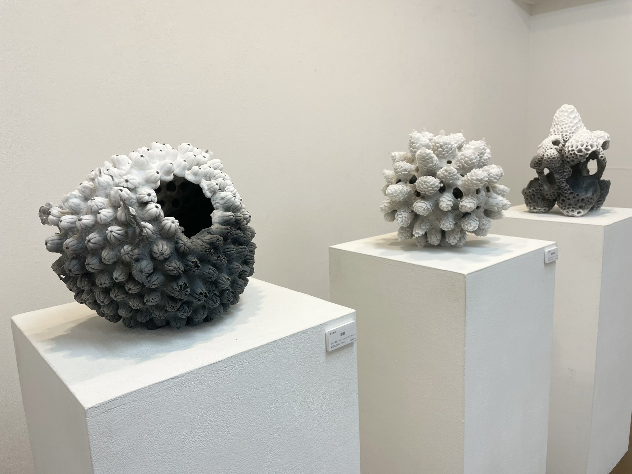 ベロニカ都登□ラフ画、額装DM2枚 *2018年、アート