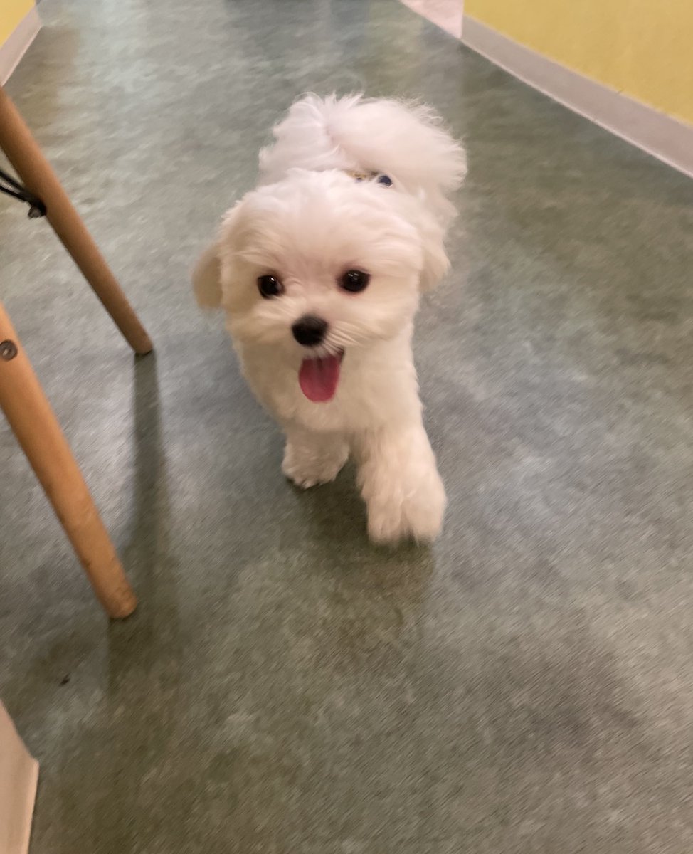 にこにこで楽しそう☺️