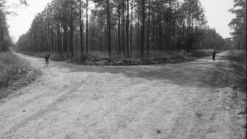 Tony Tost tweet media