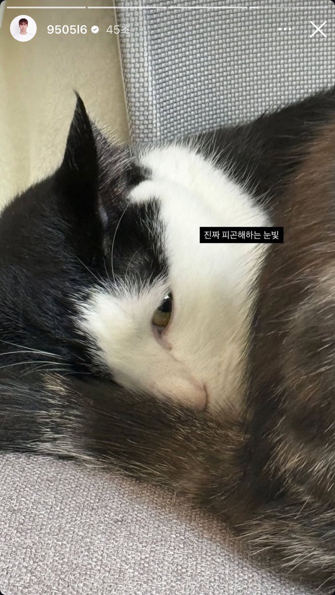 준성아빠가 말아주는 주말 준성호네
너무나 행복이잖아 🤍