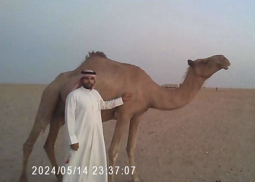 ناديتها و البال ضايق و مصيوب
و خلّت حويرها الصغيّر و جتني

ترزم و ذارف دمعة العين مسكوب
و الراس طارحته على راس متني
