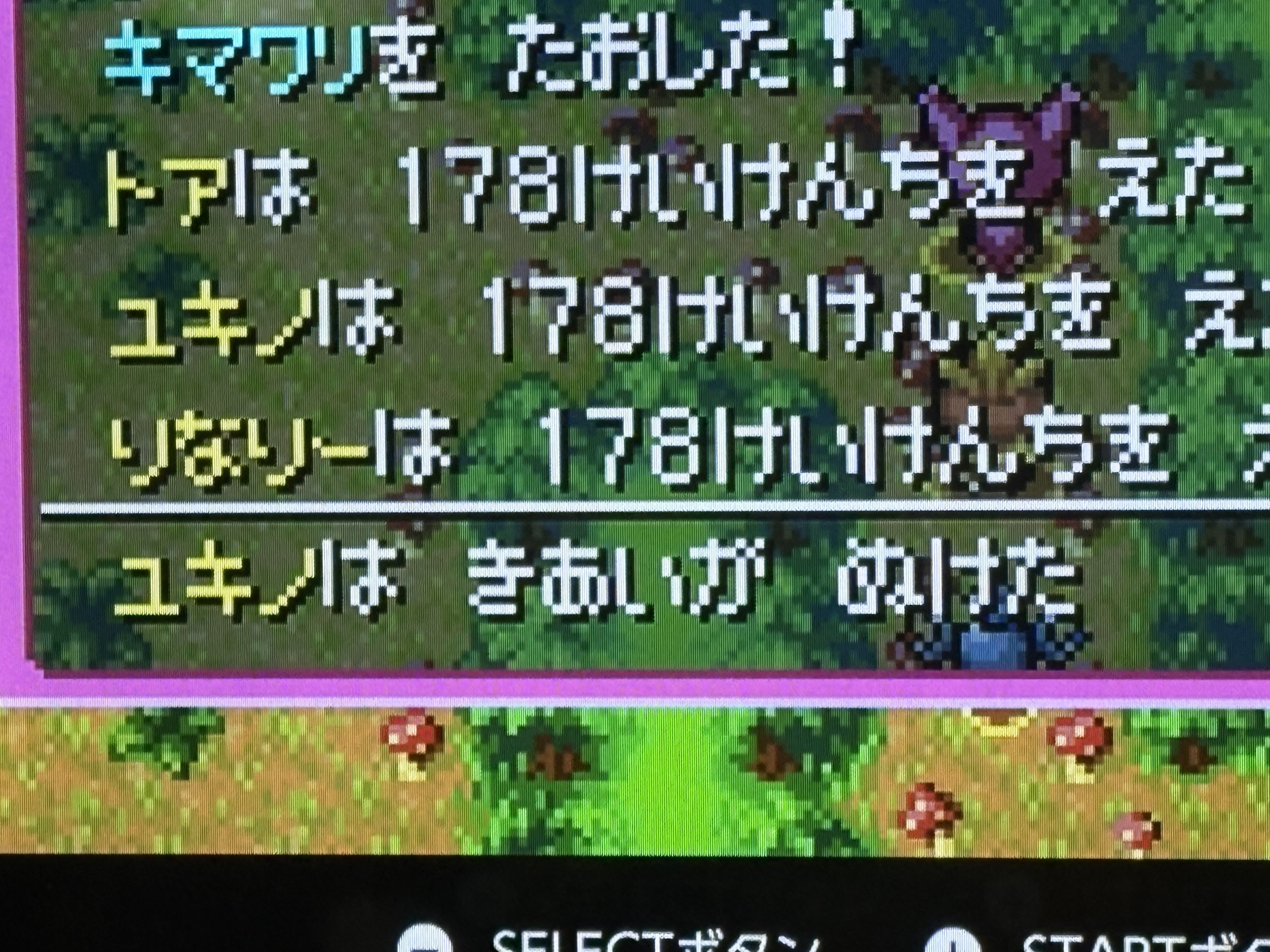ゆな…ユキエモン…温冷ポーチ他…10点 ゆな様専用…ユキエモン…温冷