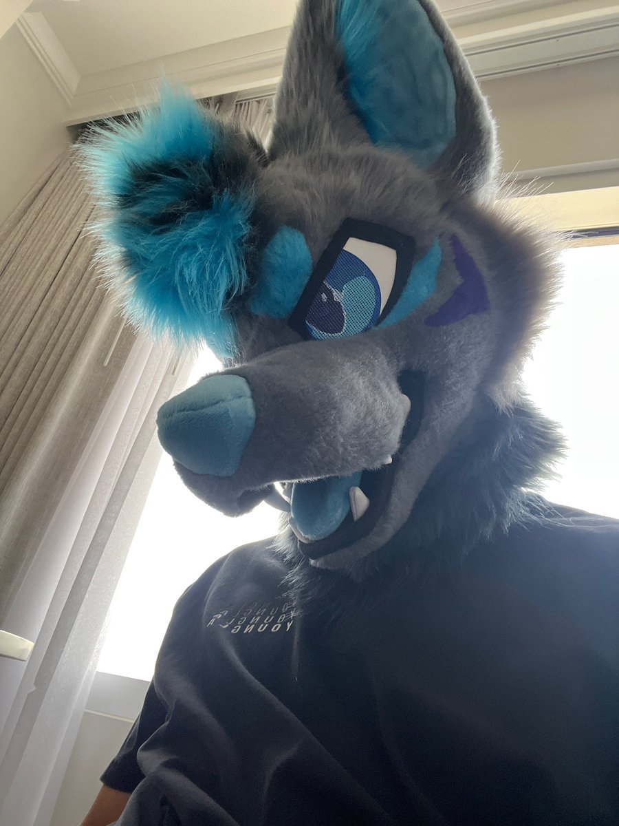 Good afternoon fuzzies <a href="/bvnnce/">peachie 🎀 | texas ⚡️</a> 🐐

It’s everywhere.