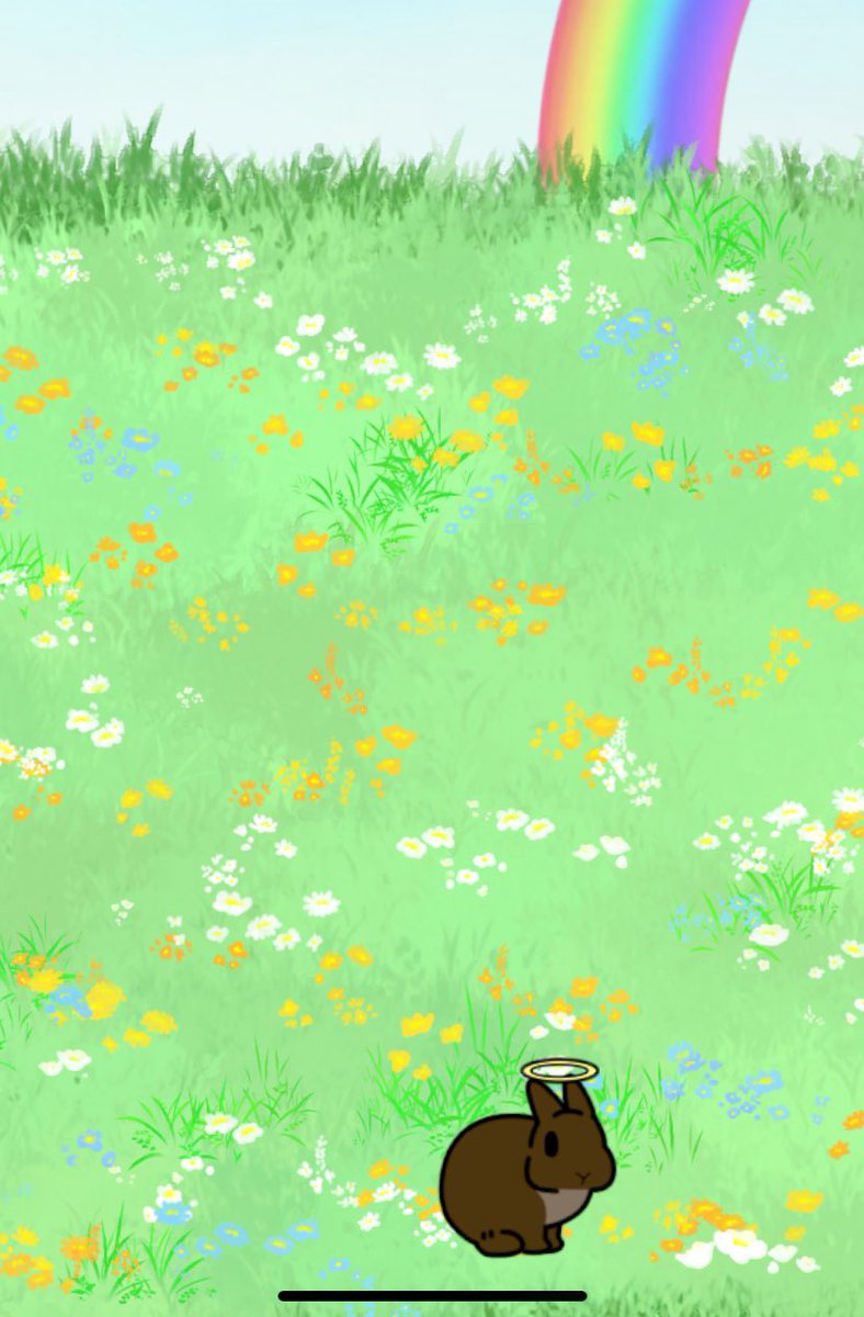 最初のうさぎが虹の橋を渡った時に心が痛すぎて次のうさぎを迎えられない
#うさびより