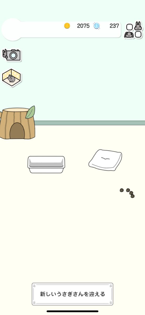 p_haphap's tweet image. 最初のうさぎが虹の橋を渡った時に心が痛すぎて次のうさぎを迎えられない
#うさびより