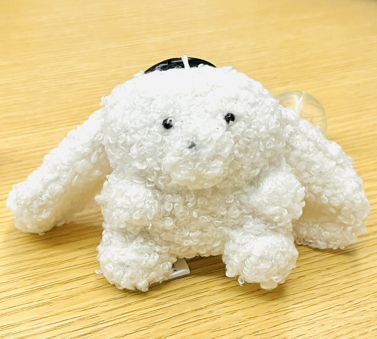 くまこ様 くまこ❤様お取り置き くまこ❤様お取り置き くま