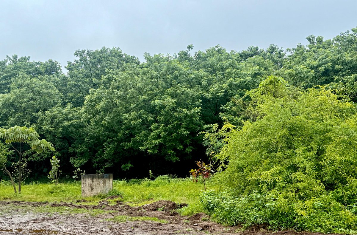 sushma date tweet media