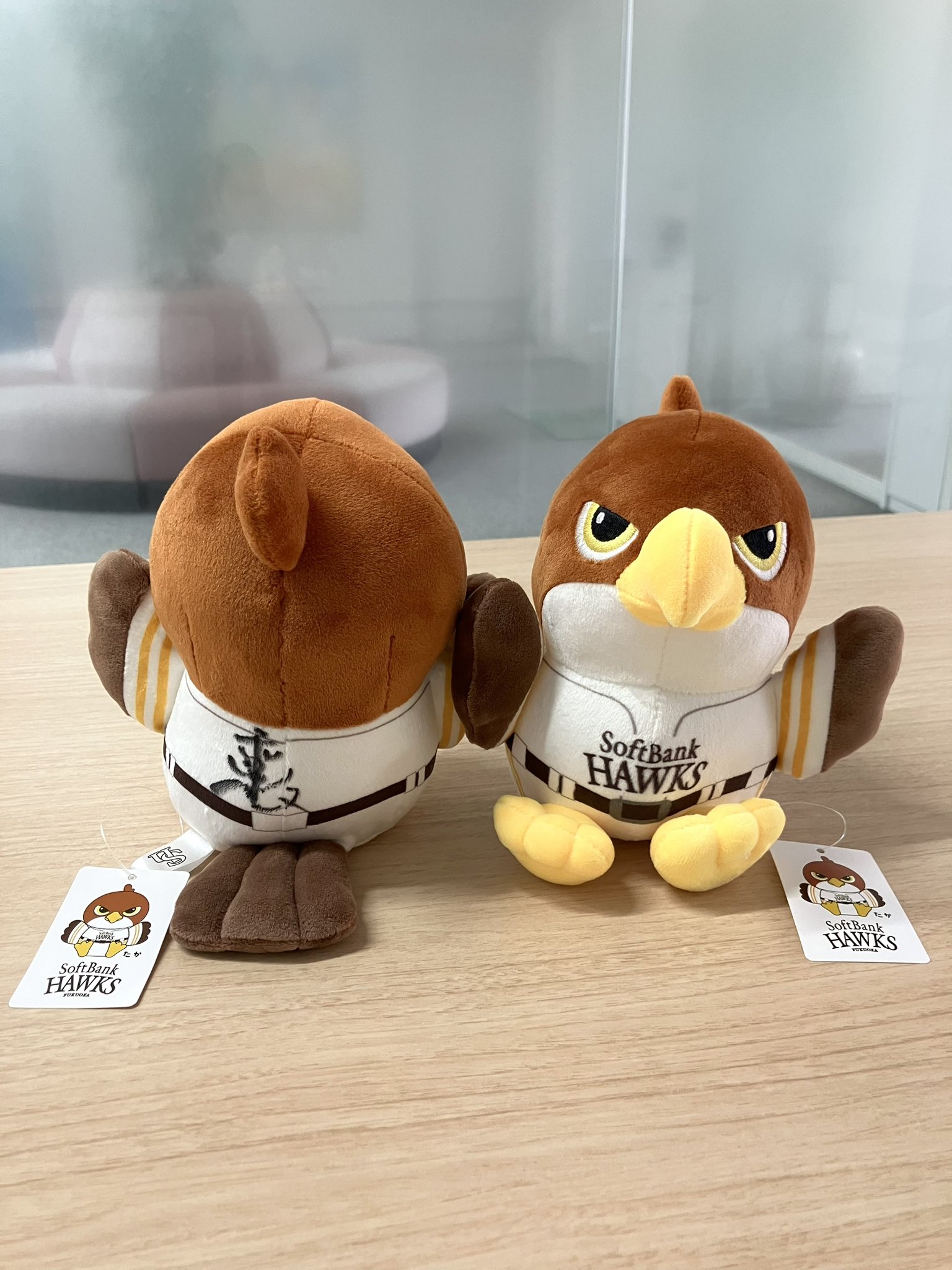 PITBABE ぬいぐるみ SaiubPon 直筆サイン入り ぬいぐるみ】緋月ゆいのポセイドン – Neo-Porte（ネオポルテ